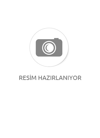 Kompresörlü Çift yönlü Havalı Petek Temizleme Makinesi